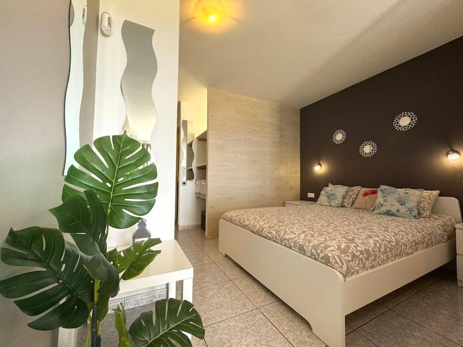 Palm Garden Apartment Morro Jable (Fuerteventura) Exterior foto